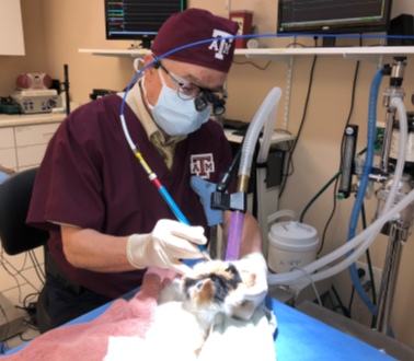 CO2 Surgical Laser  San Antonio, TX