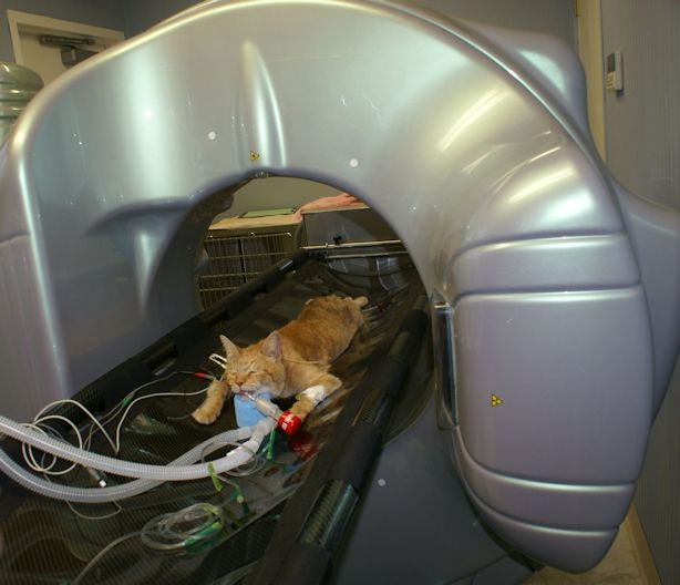 CT Scanner  San Antonio, TX