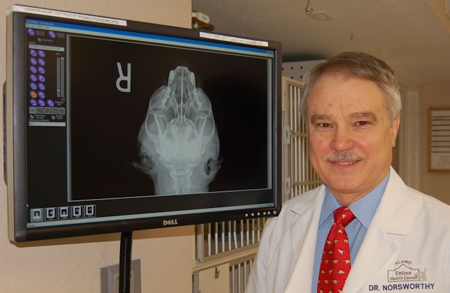 Digital Radiology  San Antonio, TX