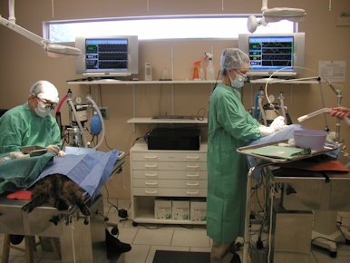 Advanced Surgical Safety  San Antonio, TX